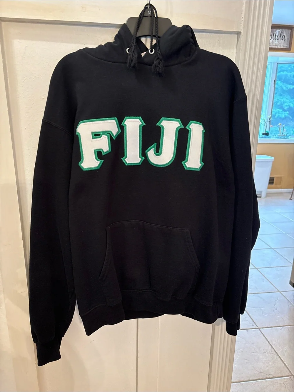Men's Champion FIJI Hoodie